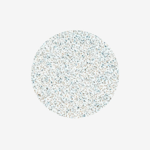 Staleks Disposable Pododisc 80- Expert L